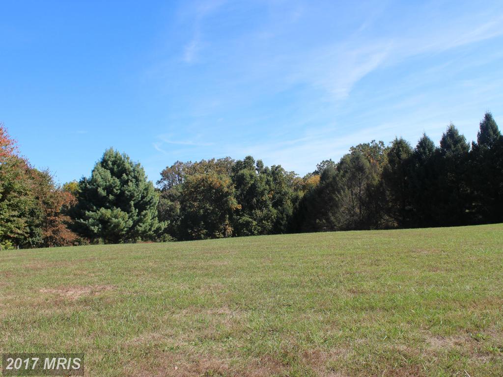 1809 Ednor Road - Photo 1