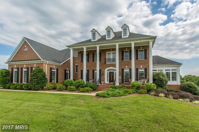 15131 Ganley Road - Photo 1