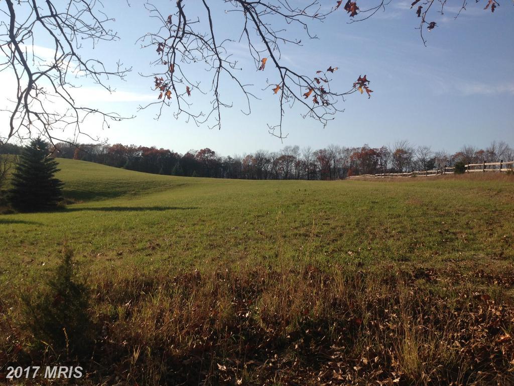 2957 Ed Welch Road - Photo 1