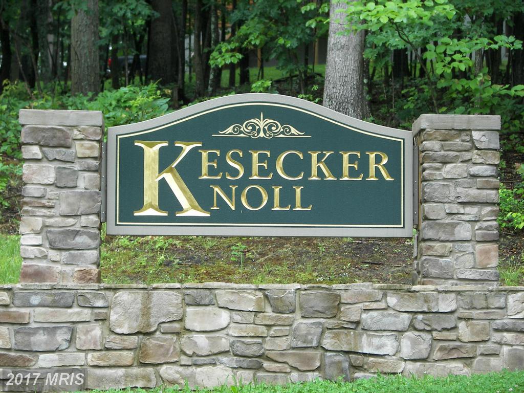 167 Kesecker Knoll Lane - Photo 1