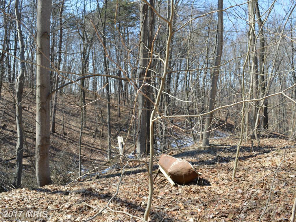 Little Creek Trail - Photo 1
