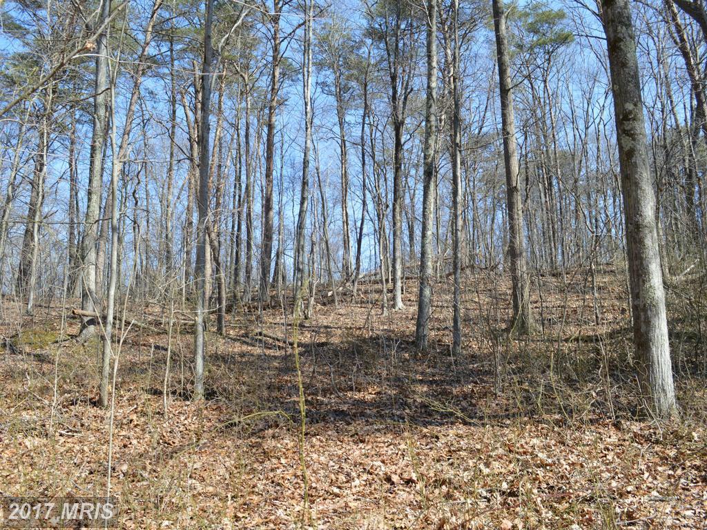 Little Creek Trail - Photo 1