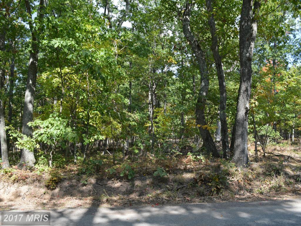 0 Tabor Road - Photo 1