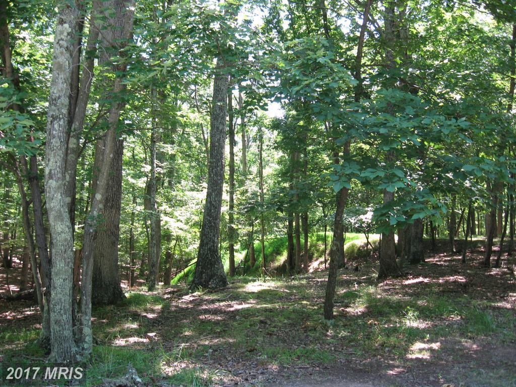 Tranquil Way - Photo 1