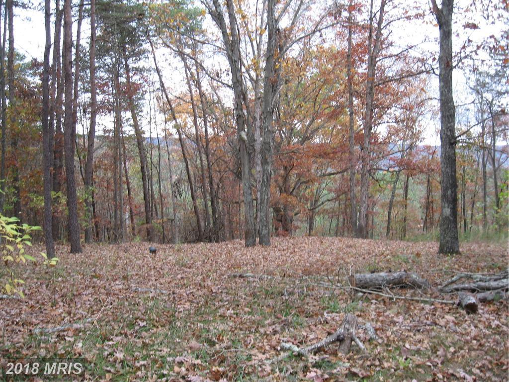 11 Hollow View Road - Photo 1