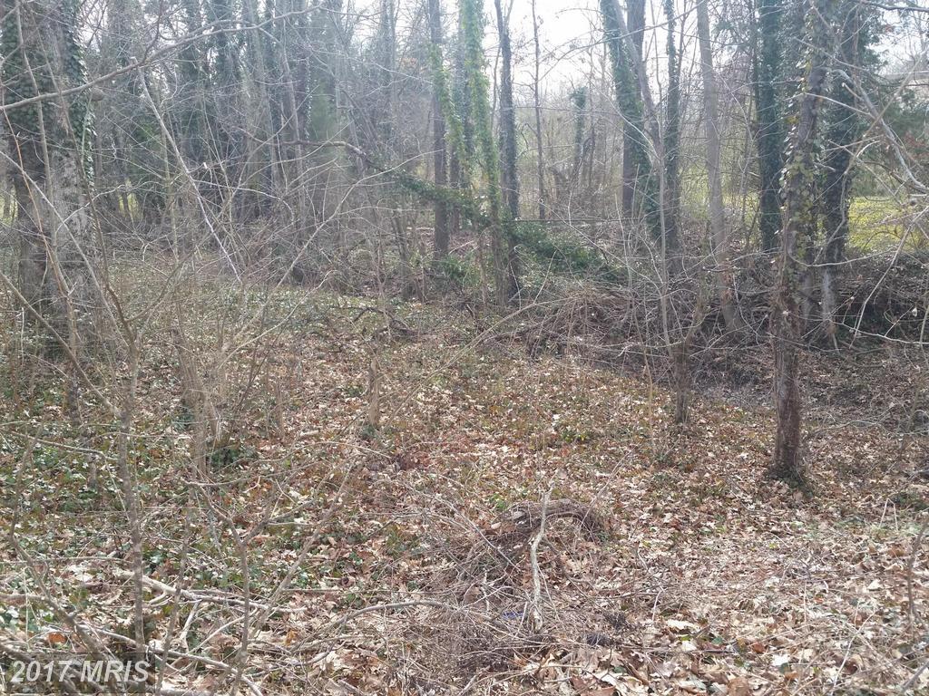 0 Tabernacle Road - Photo 1