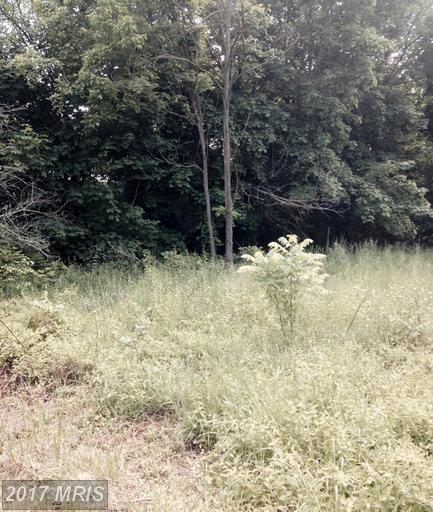 Bixlers Ferry Road - Photo 1