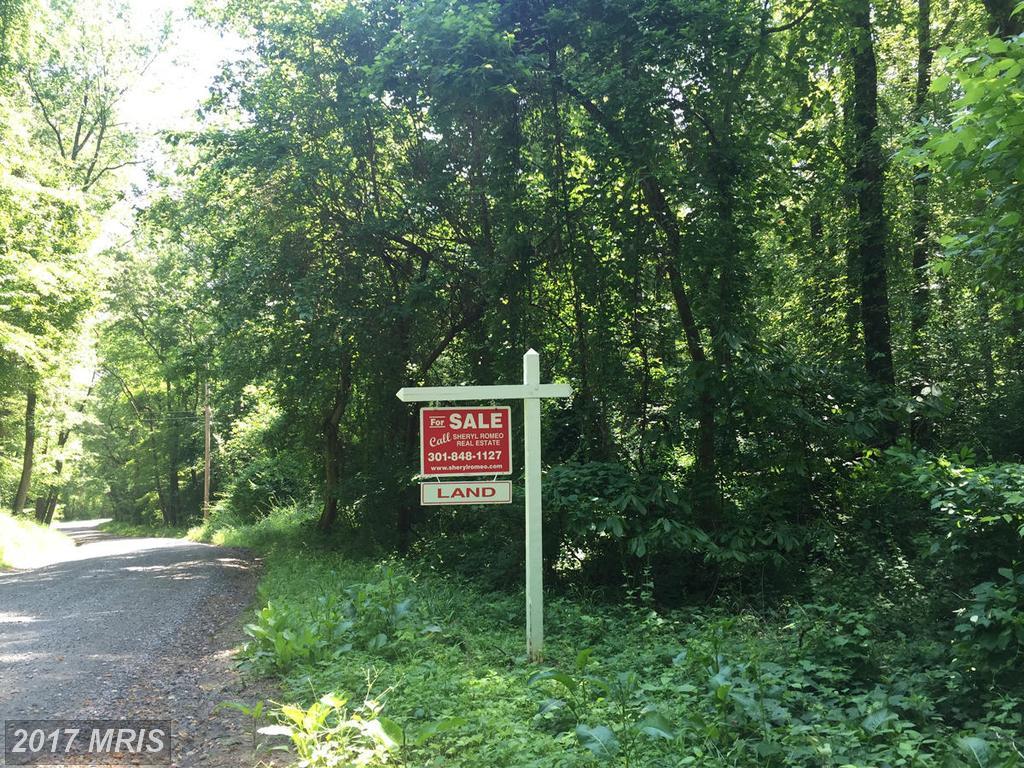 Bonds Retreat Road - Photo 1