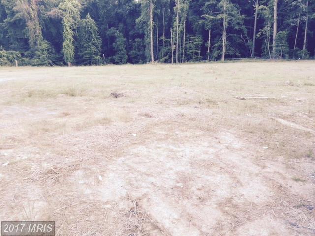 8812 Race Track Road - Photo 1