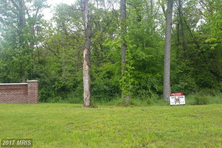2901 Bealls Pleasure Lane - Photo 1