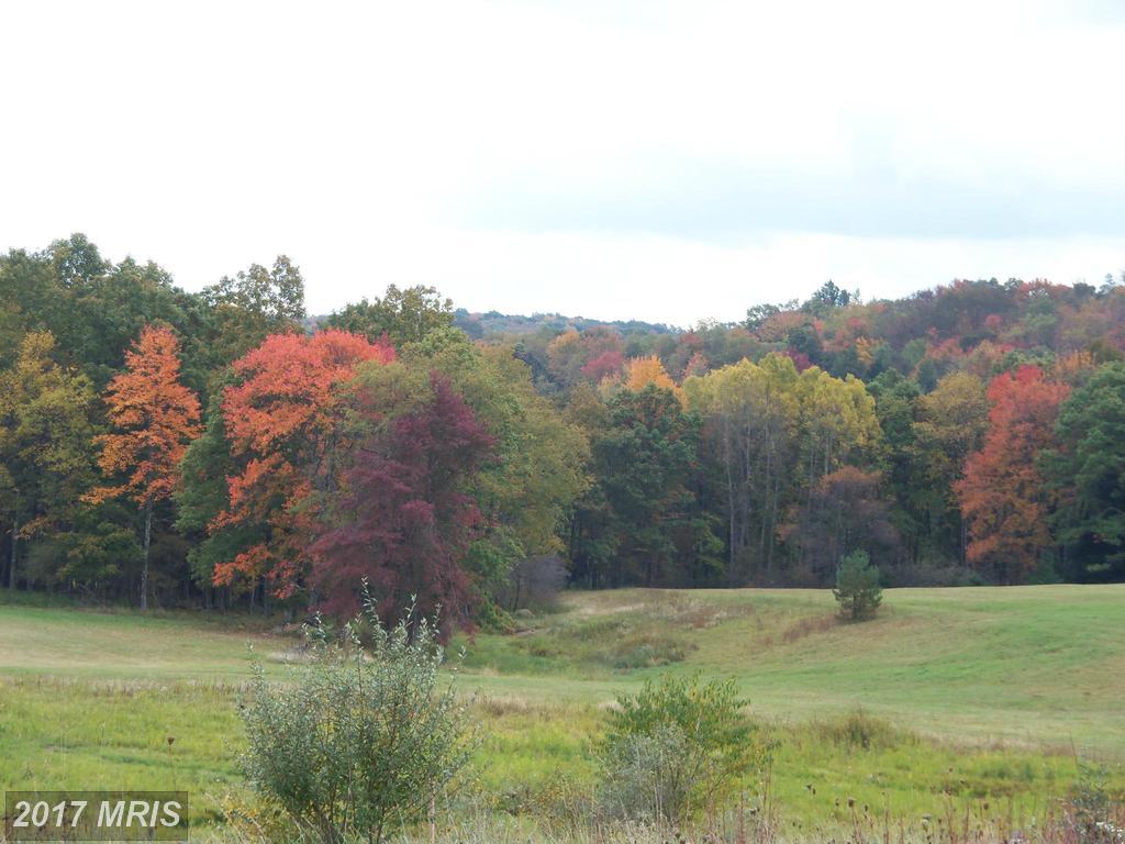 5859 Snowy Creek Lane - Photo 1