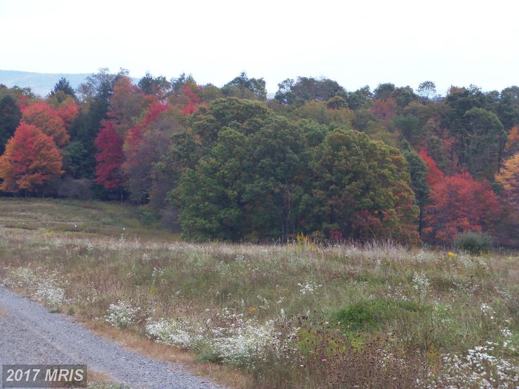 58 Snowy Creek Lane - Photo 1