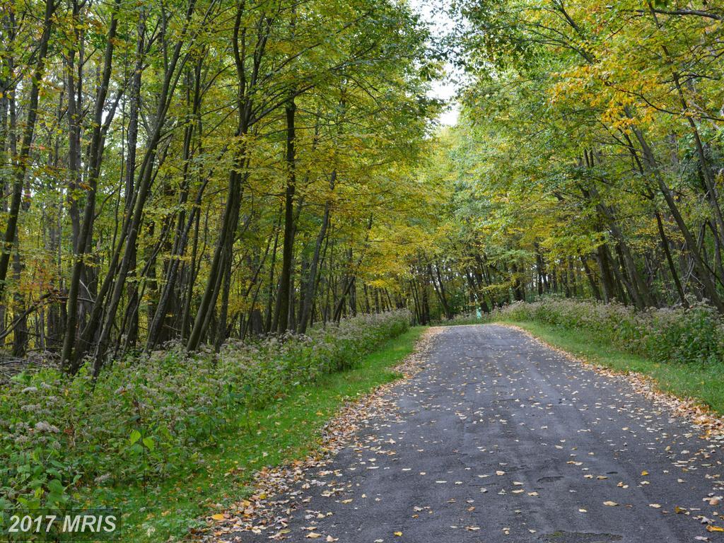 130131-LOTS Teaberry/St Mortiz Lane - Photo 1