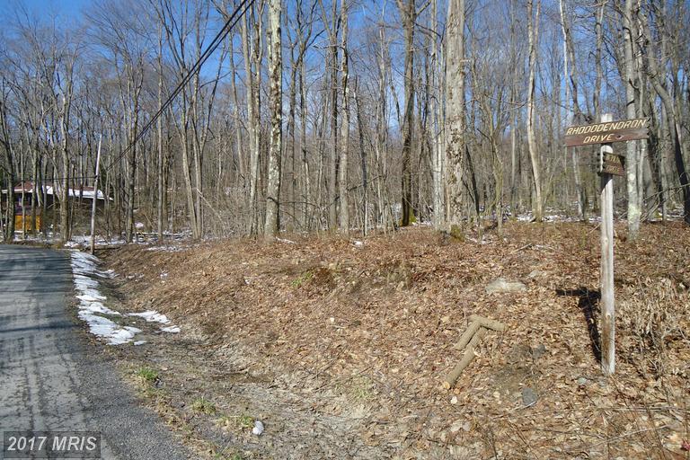 LOTS 38-40 Rhododendron Drive - Photo 1