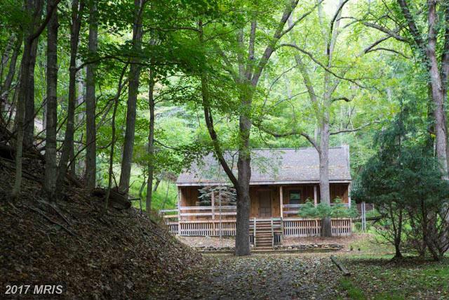 8338 Reeds Creek Road - Photo 1