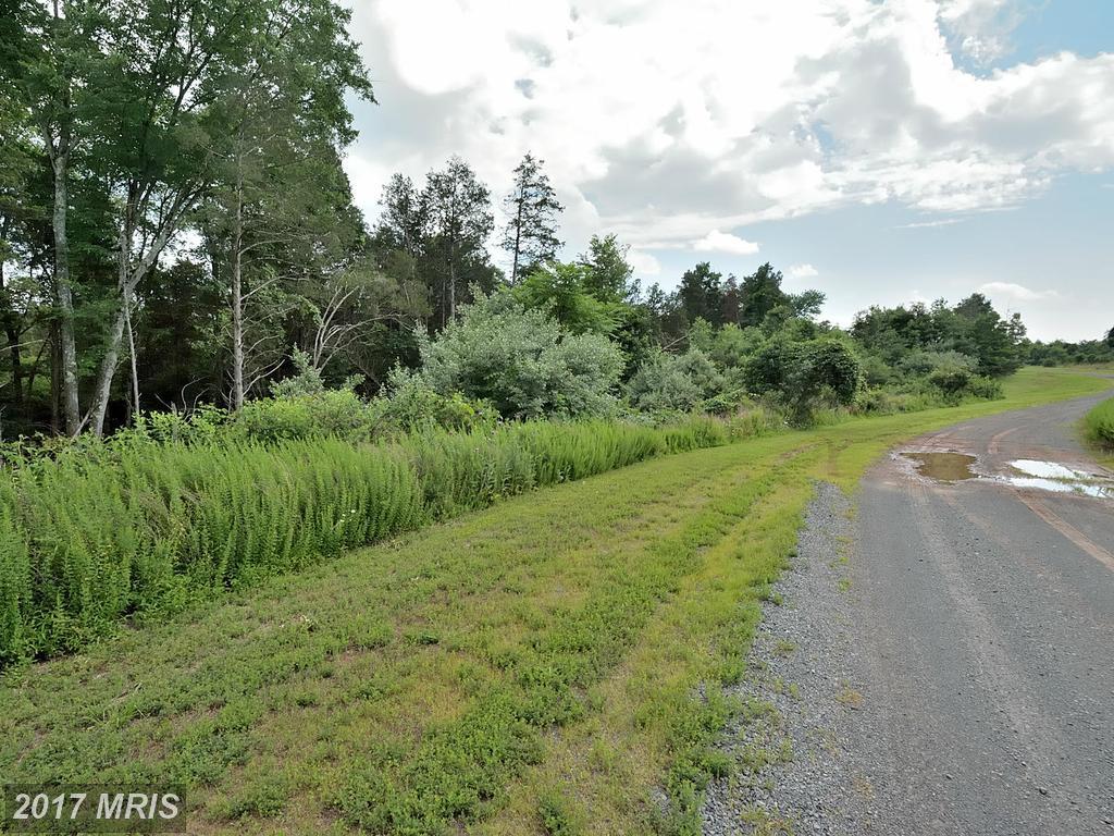 13030 Haddonfield Lane - Photo 1