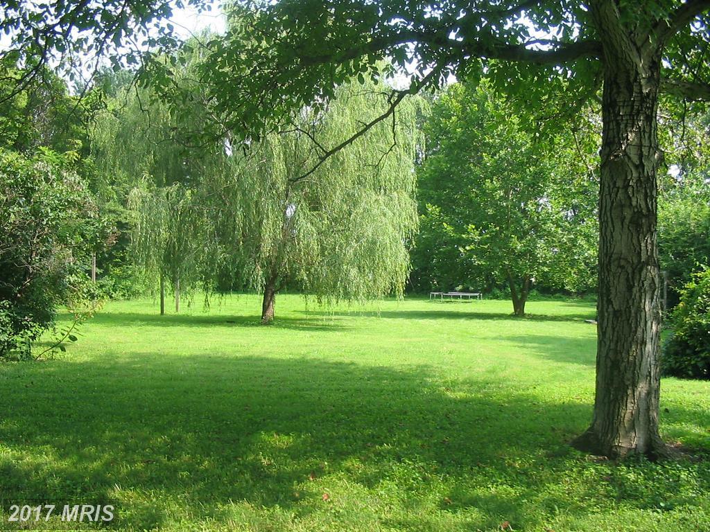 206 Rabbit Hill Road - Photo 1