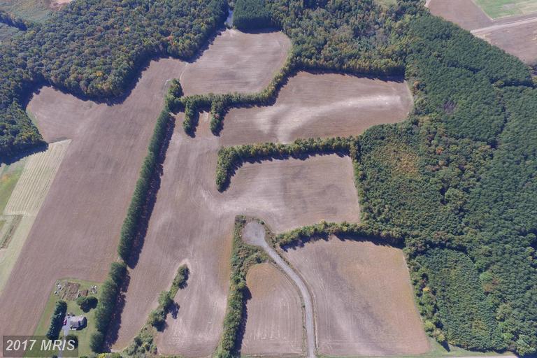 Duhamel Corner Road - Photo 1