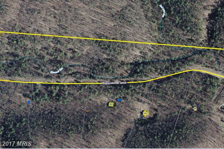 0 Yankeetown Road - Photo 1