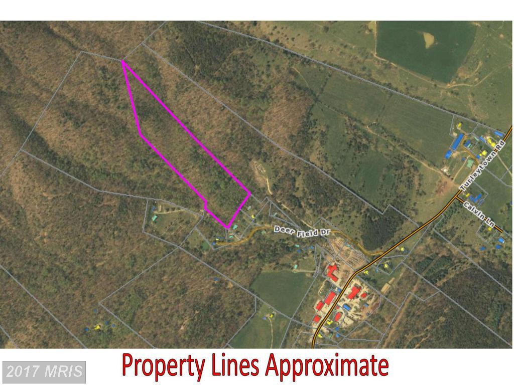 0 Deer Field Drive - Photo 1