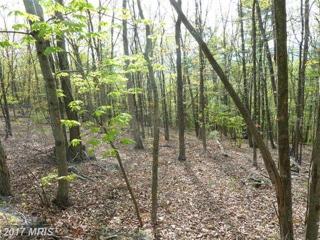 0 Supinlick Ridge Road - Photo 1
