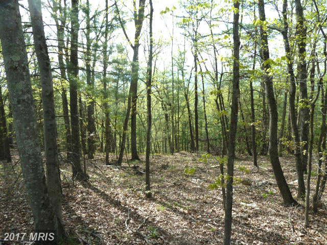 Supinlick Ridge Road - Photo 1