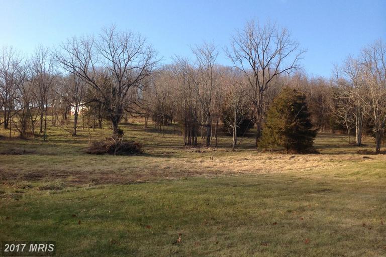 Swover Creek Road - Photo 1