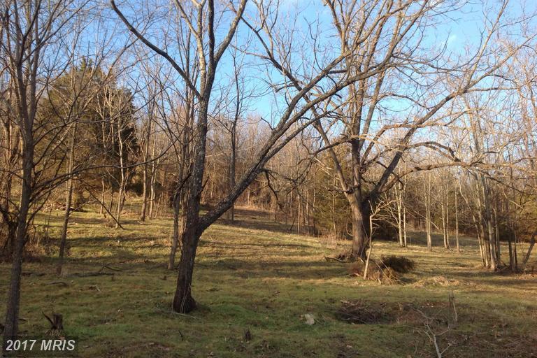 Swover Creek Road - Photo 1