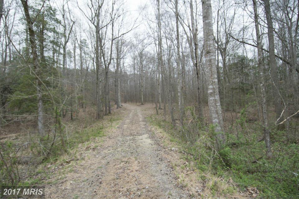 36670 Knotts Lane - Photo 1
