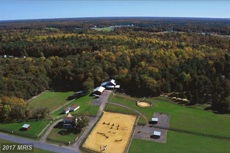 26030 Laurel Grove Road - Photo 1
