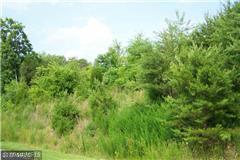 6316 Chickahominy Court - Photo 1