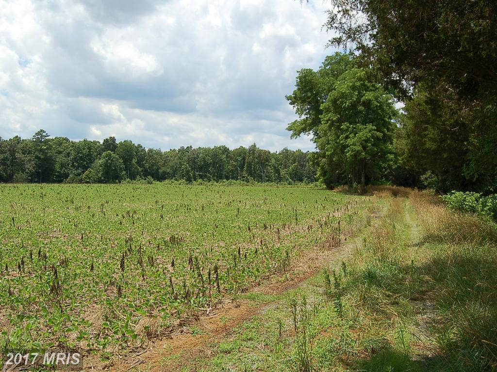 5200 Arcadia Road - Photo 1