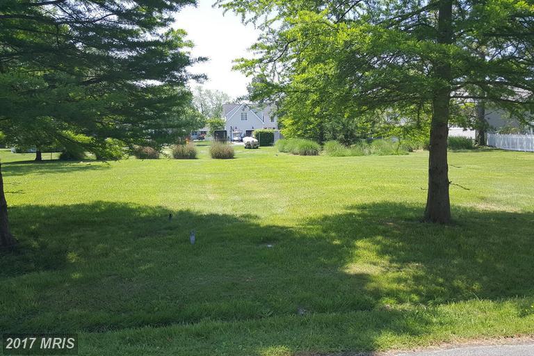 100-A Riverview Avenue - Photo 1