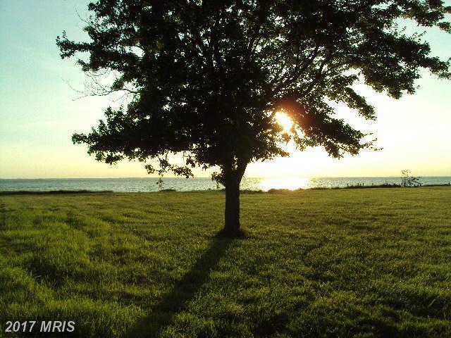 Windward Drive - Photo 1