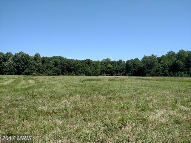 5051 Maple Branch Lane - Photo 1