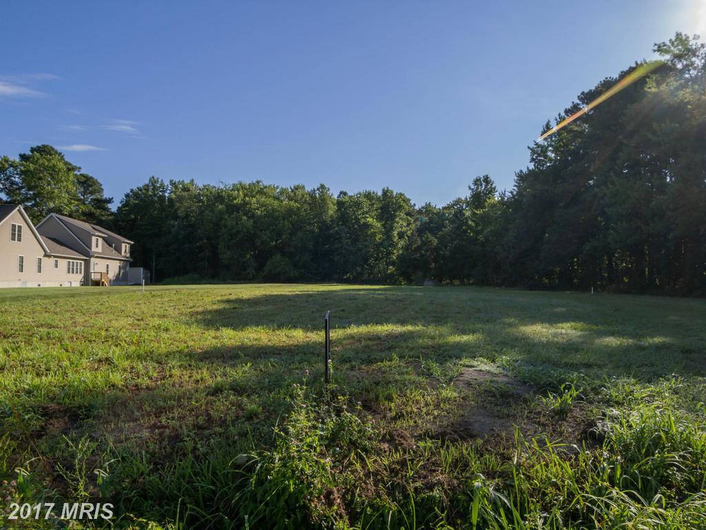 6939 Hopkins Neck Road - Photo 1