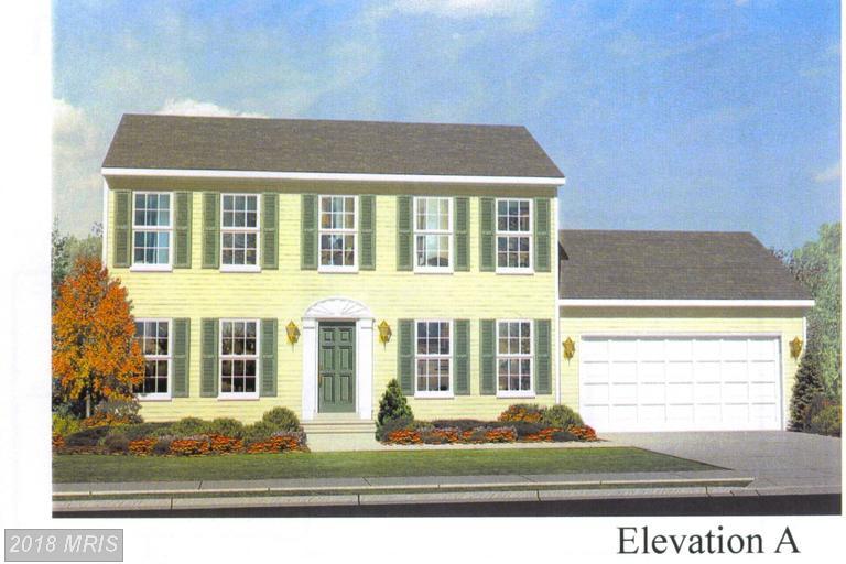 10203 Old National Pike - Photo 1