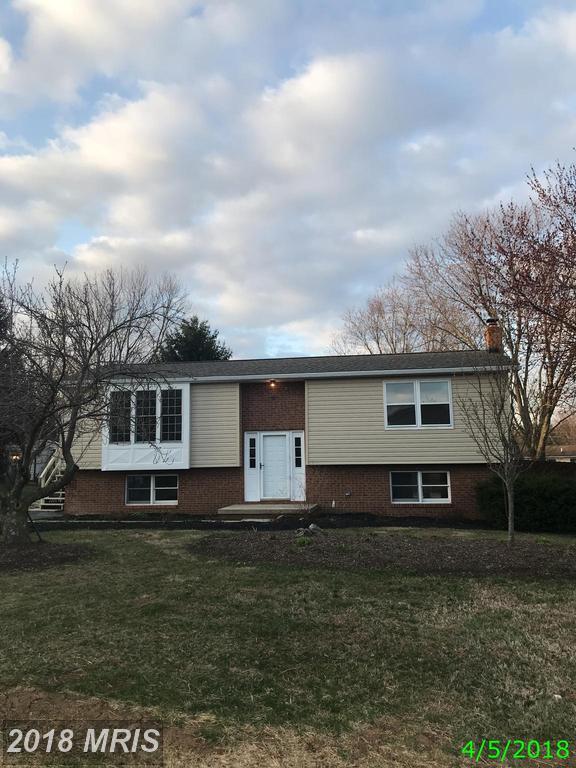 346 Lanafield Circle - Photo 1