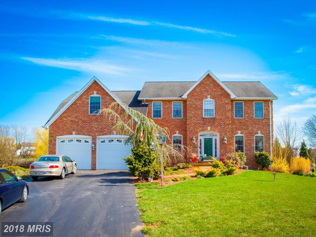 13601 Daisy Circle - Photo 1