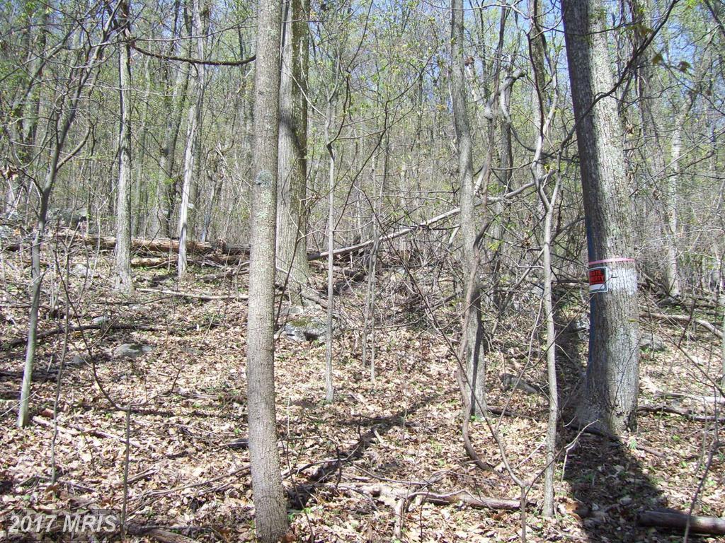 Kaetzel Road - Photo 1