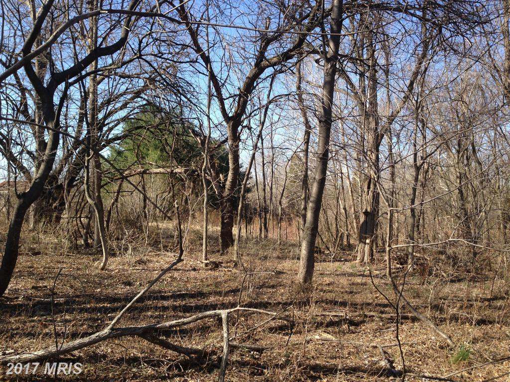 16014 Findlay Mill Road - Photo 1
