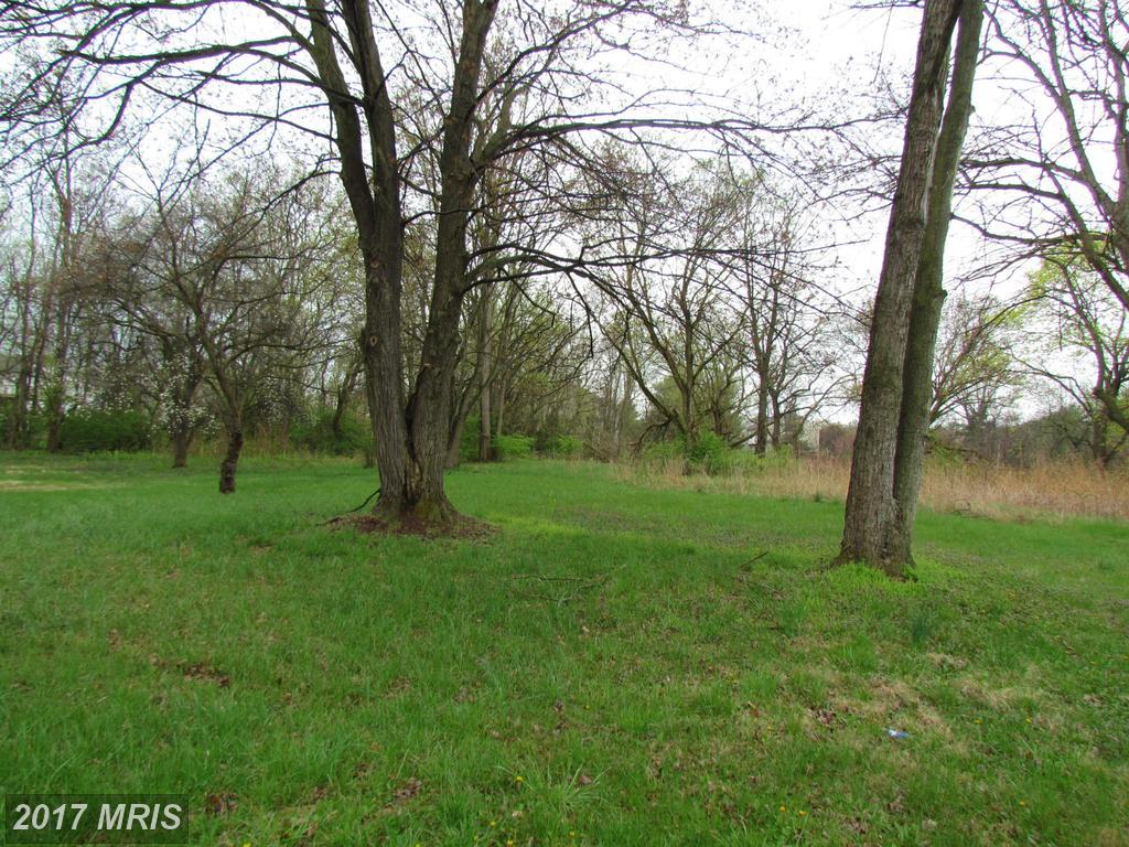 11325 Robinwood Drive - Photo 1