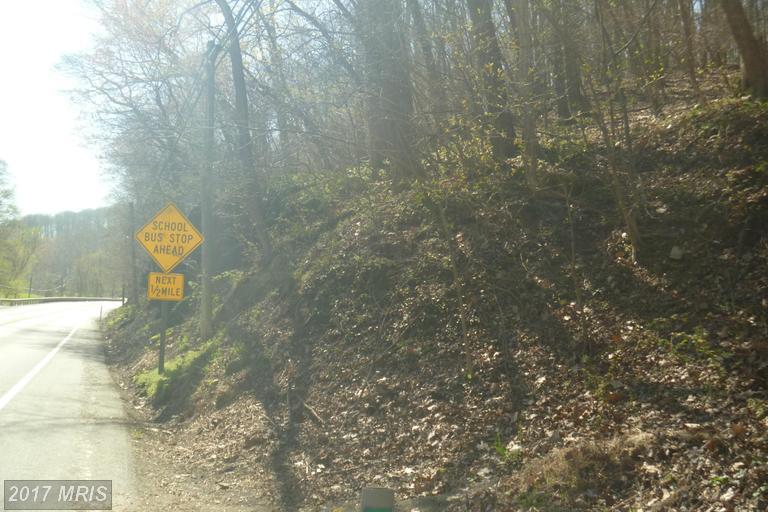 Old National Pike - Photo 1