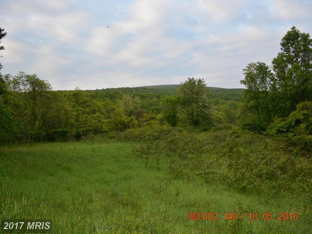 Moser Road - Photo 1