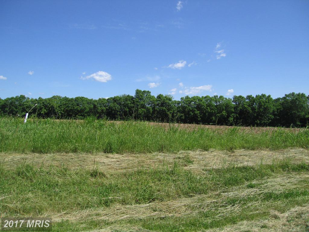 13822 Leishear Court - Photo 1