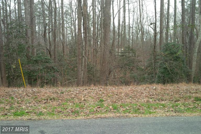 N. Independence Drive - Photo 1