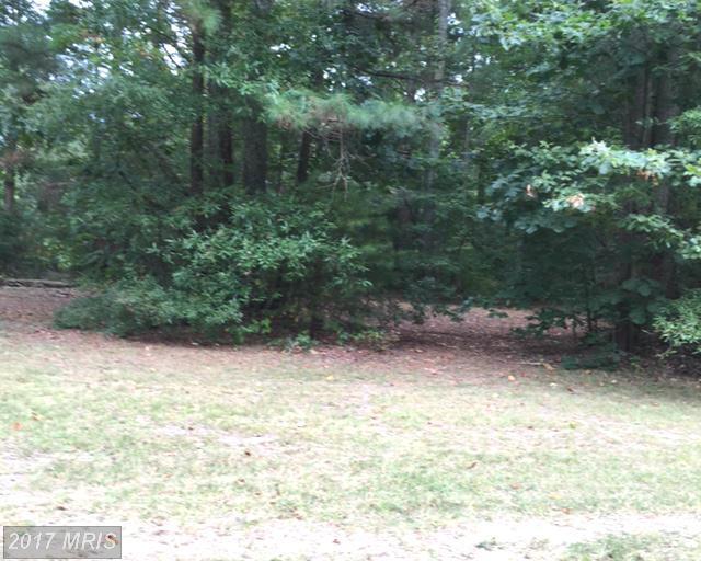 Cabin Point Dr - Photo 1