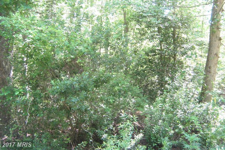 Placid Rd - Photo 1
