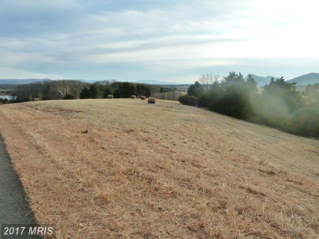 LOT 5 Starry Fields Lane - Photo 1