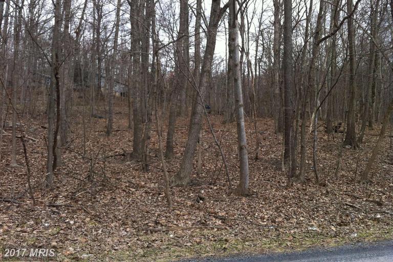 L577a Blue Mountain Road - Photo 1